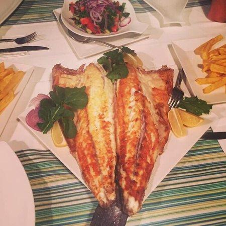 Blue Marlin Fish and Meze