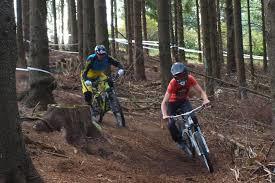 MSB-X-Trail Bike Park Sankt Andreasberg