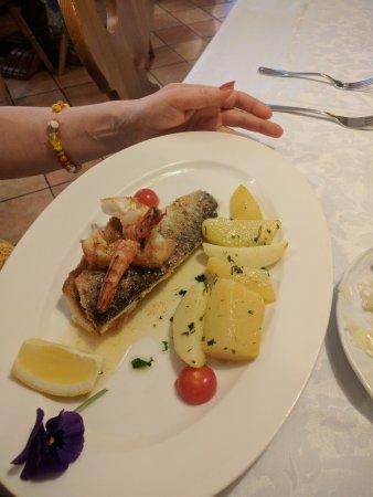 Gasthof Tangernerwirt