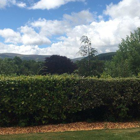 The Park Bar & Restaurant