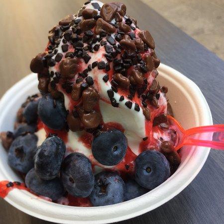 Fabi's Frozen Bio Yogurt