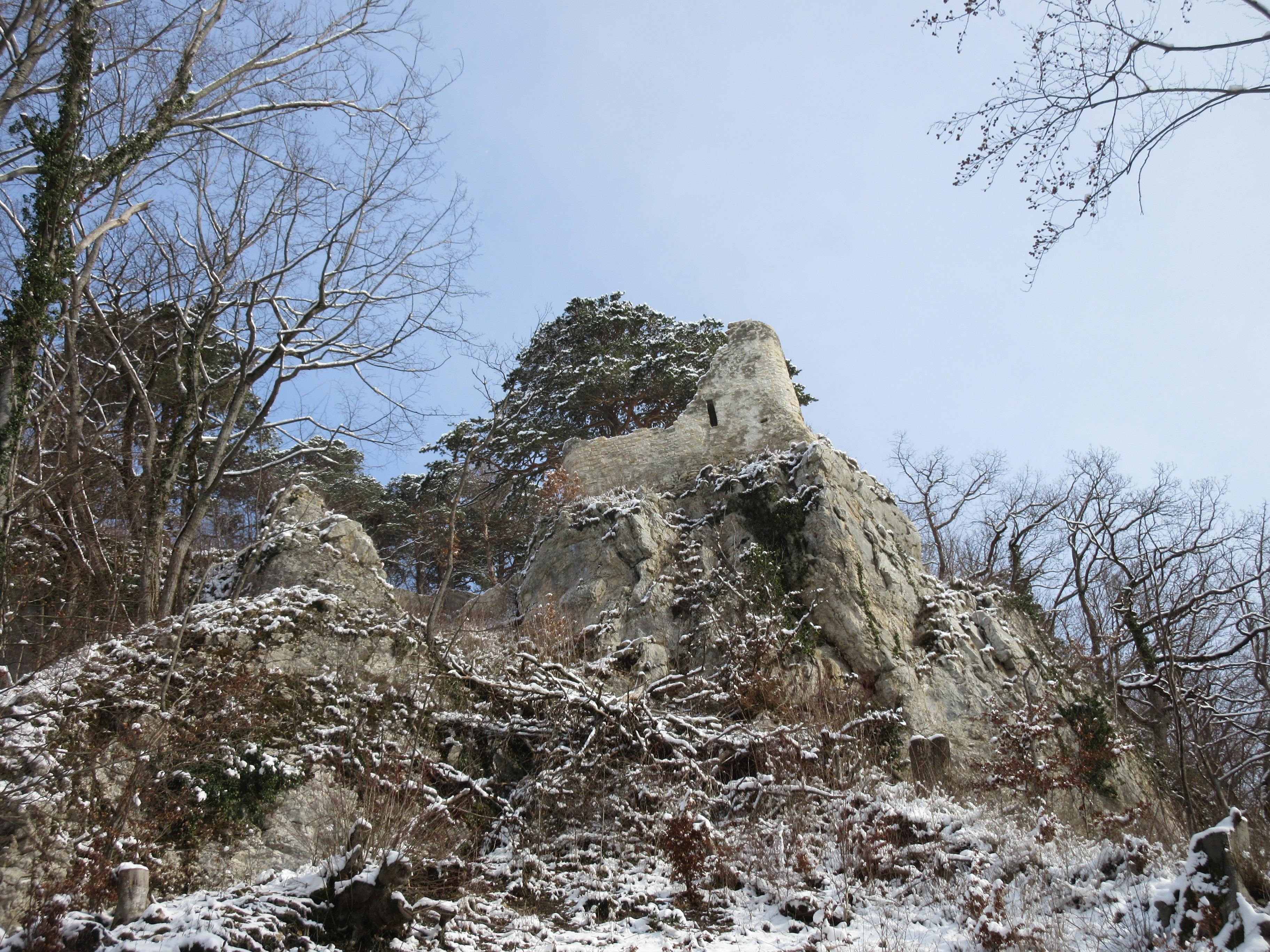 Burg Witwald