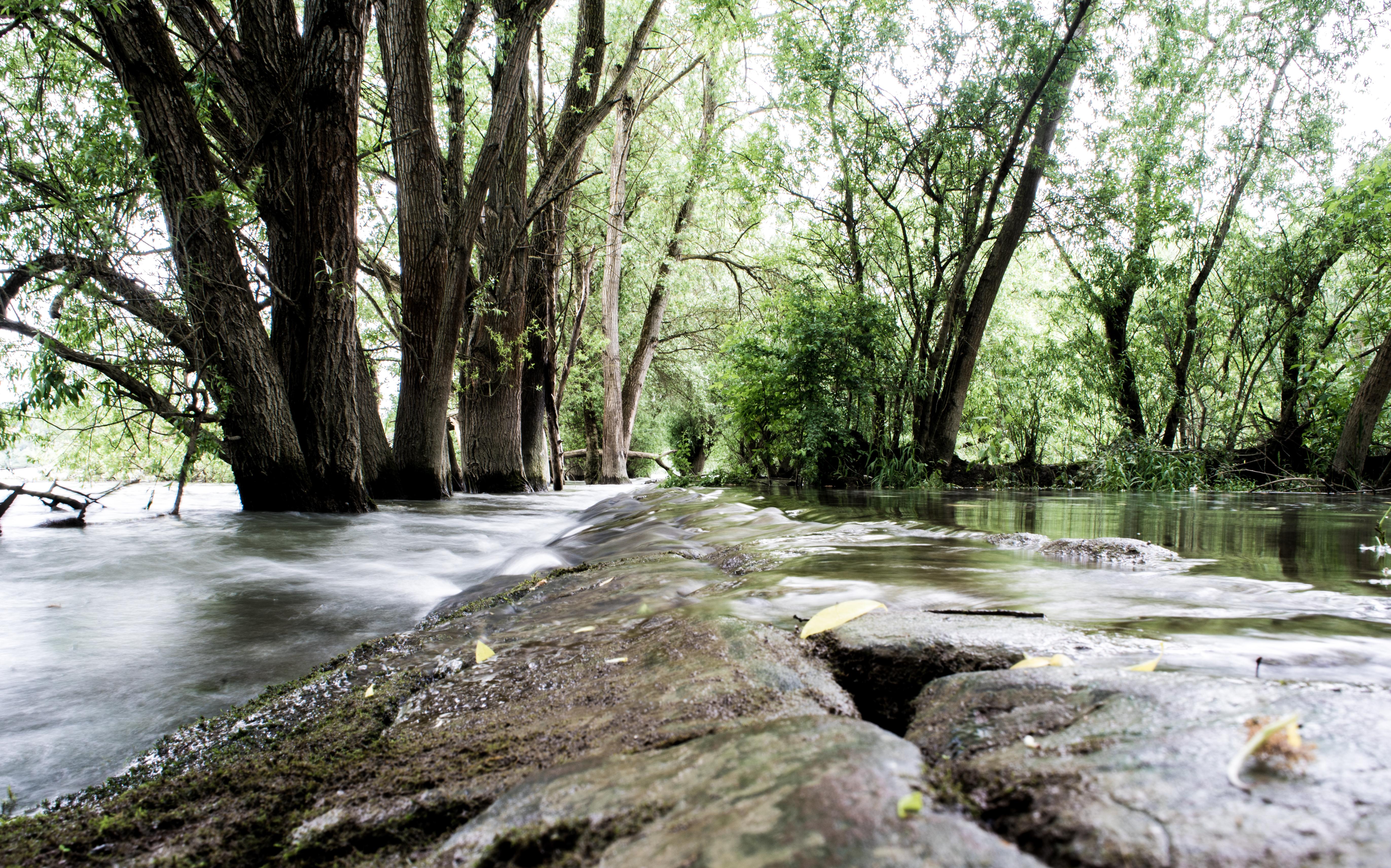 Haderaue-Königsklinger Aue