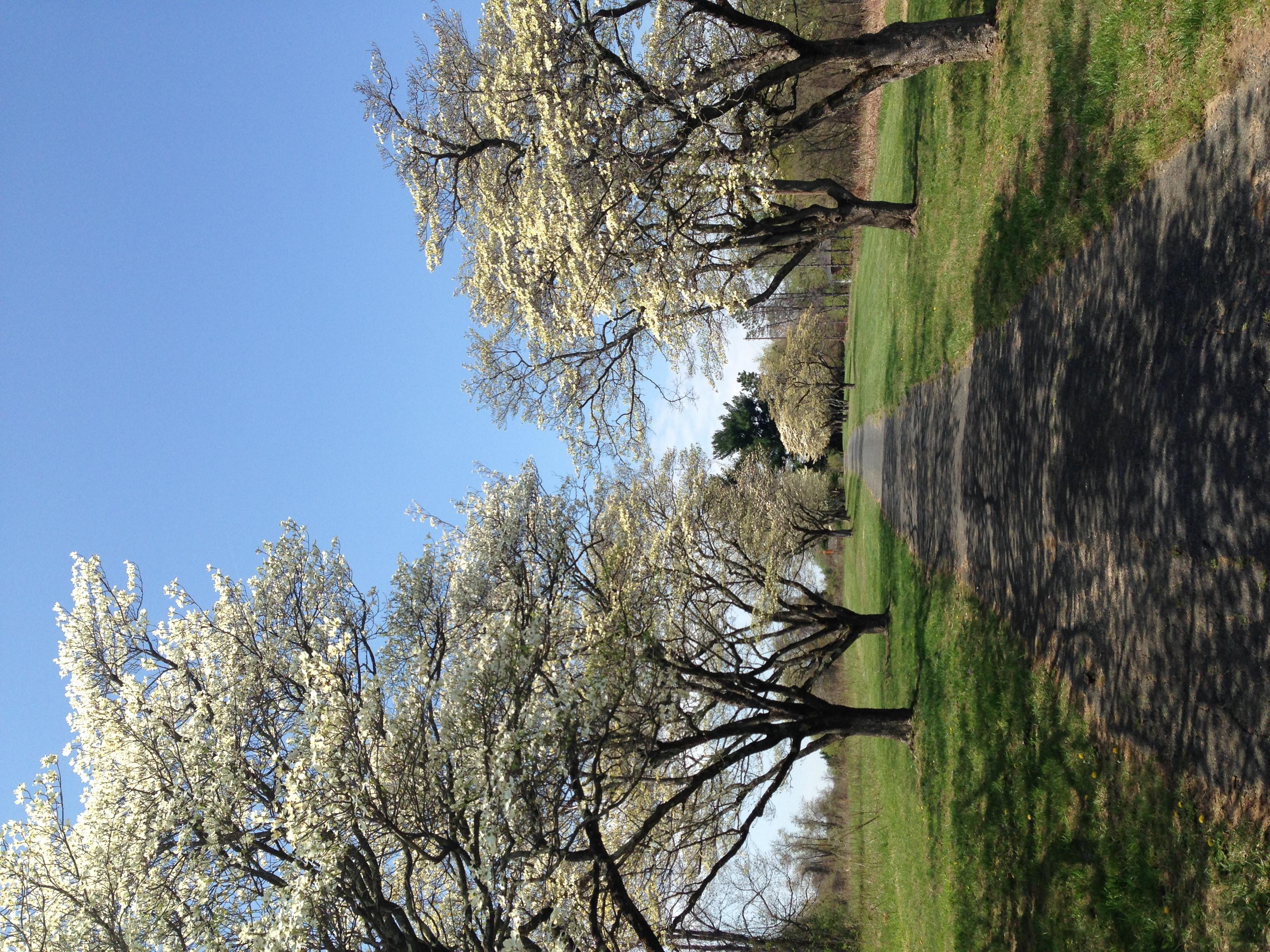 Rockburn Branch Park