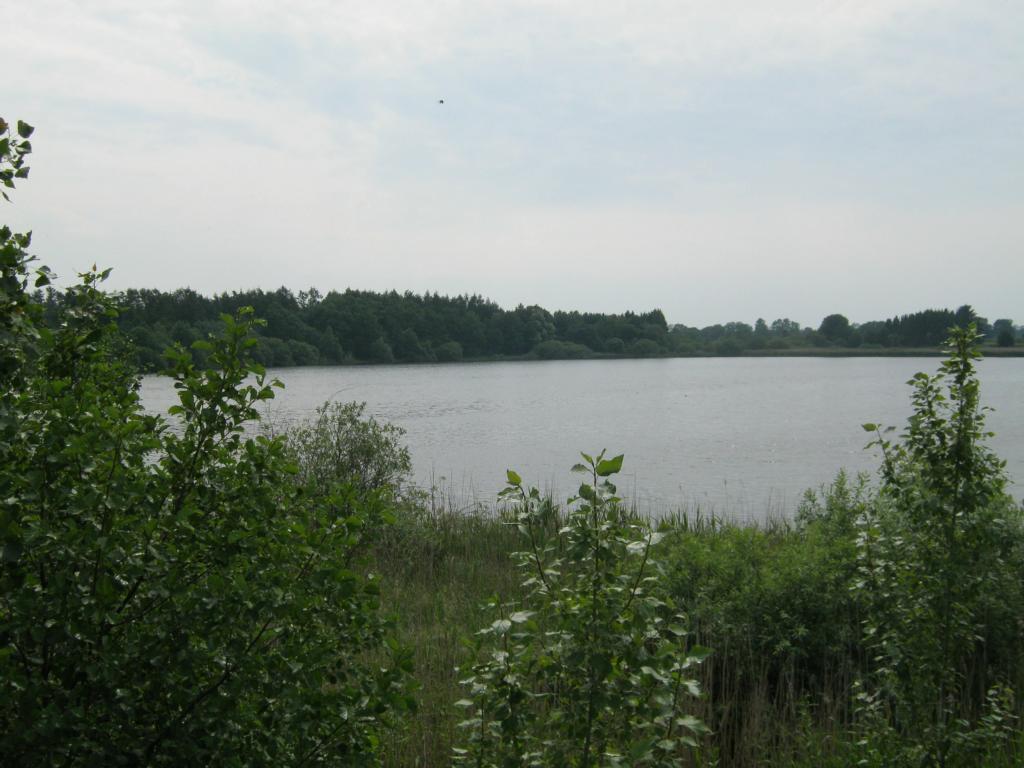 Heidteich