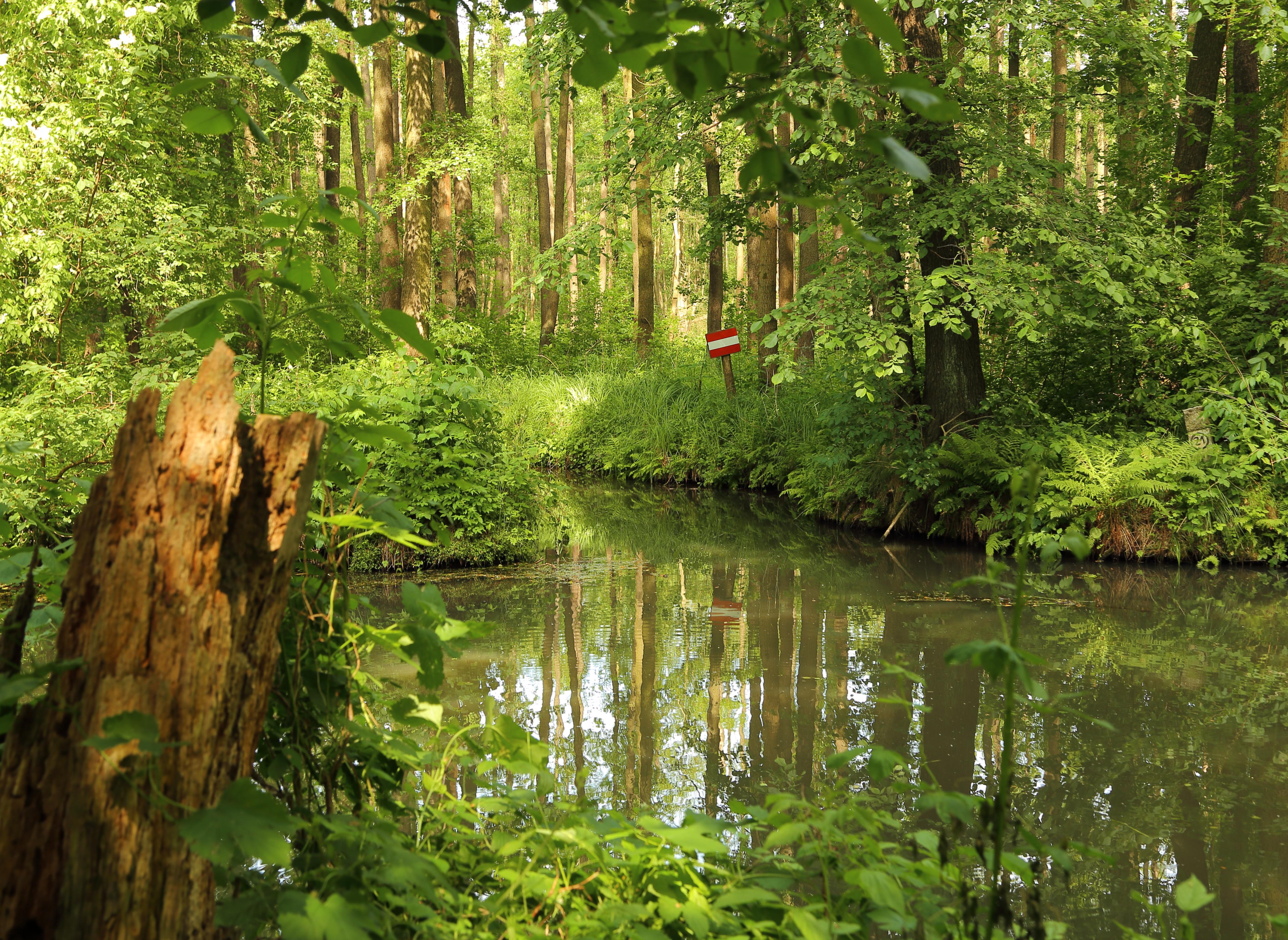 Innerer Oberspreewald