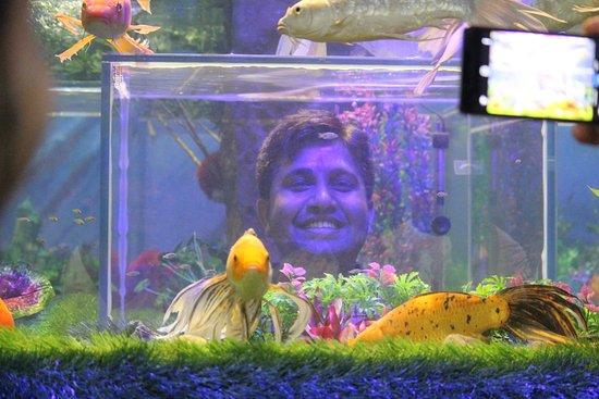 Under the Sun Aquarium