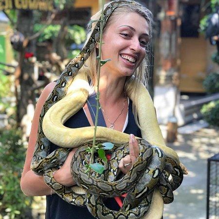 Hidden Canyon Mini Zoo