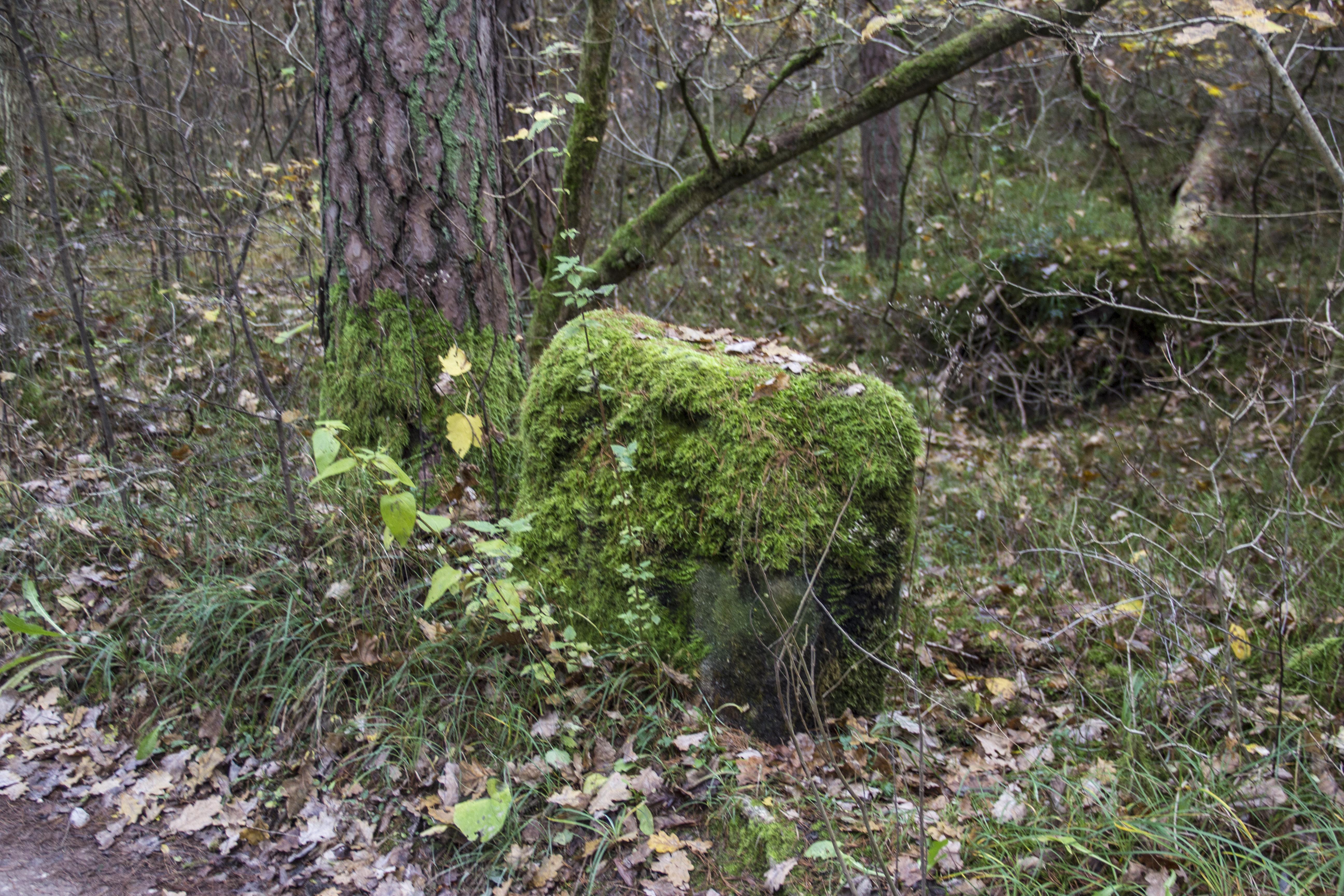 Kreuzsteinrest bei Pruppach