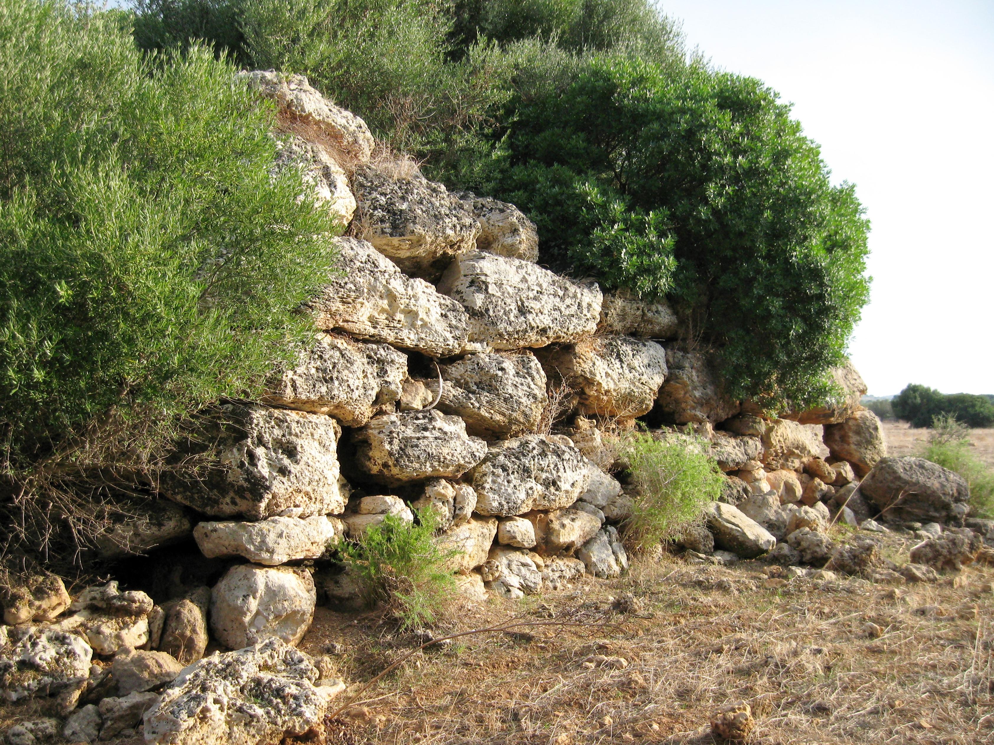 Talaiot quadrat de ses Llenques