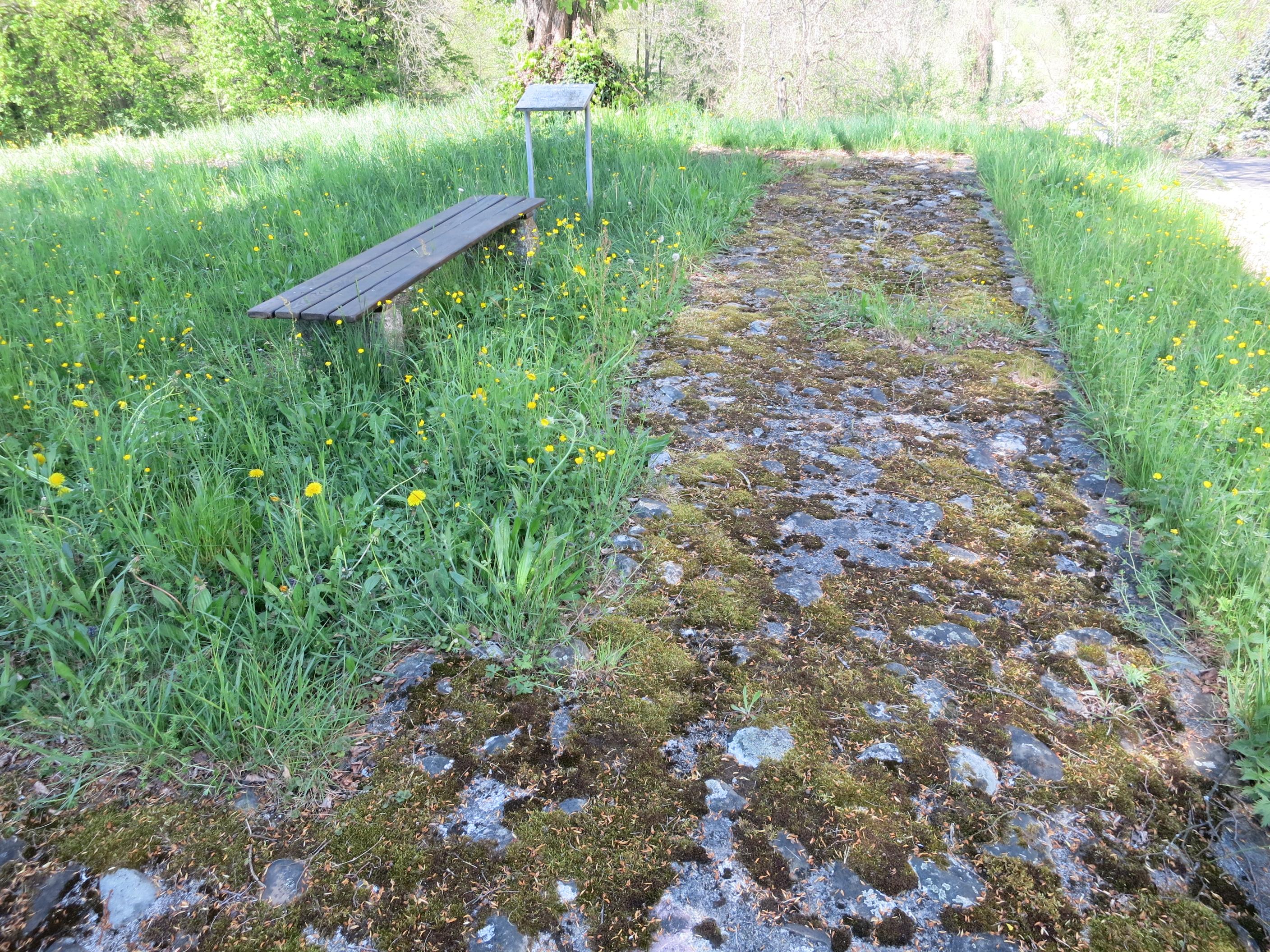 Zweidlen-Schlossbuck