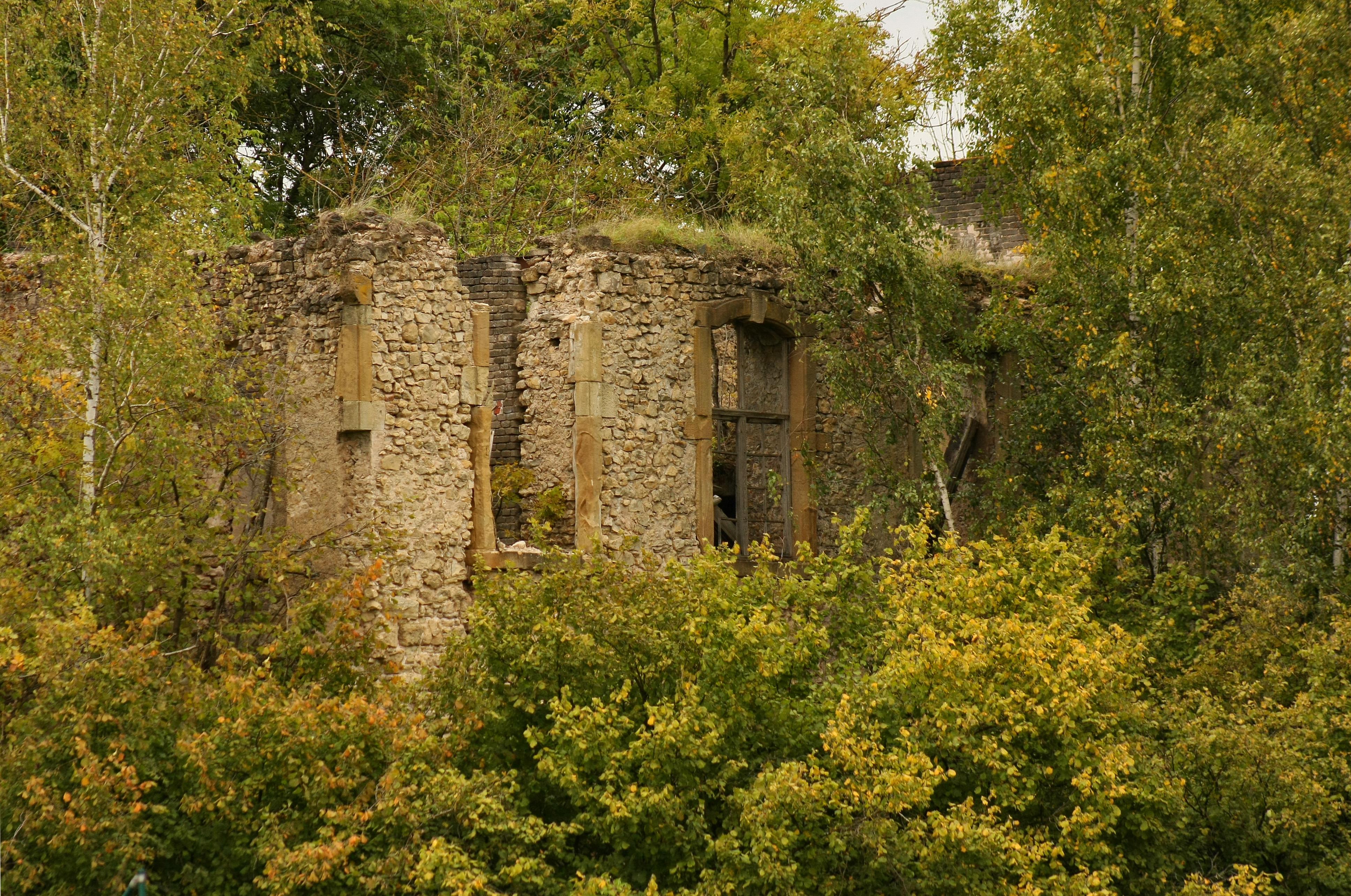 Schlossruine Bübingen