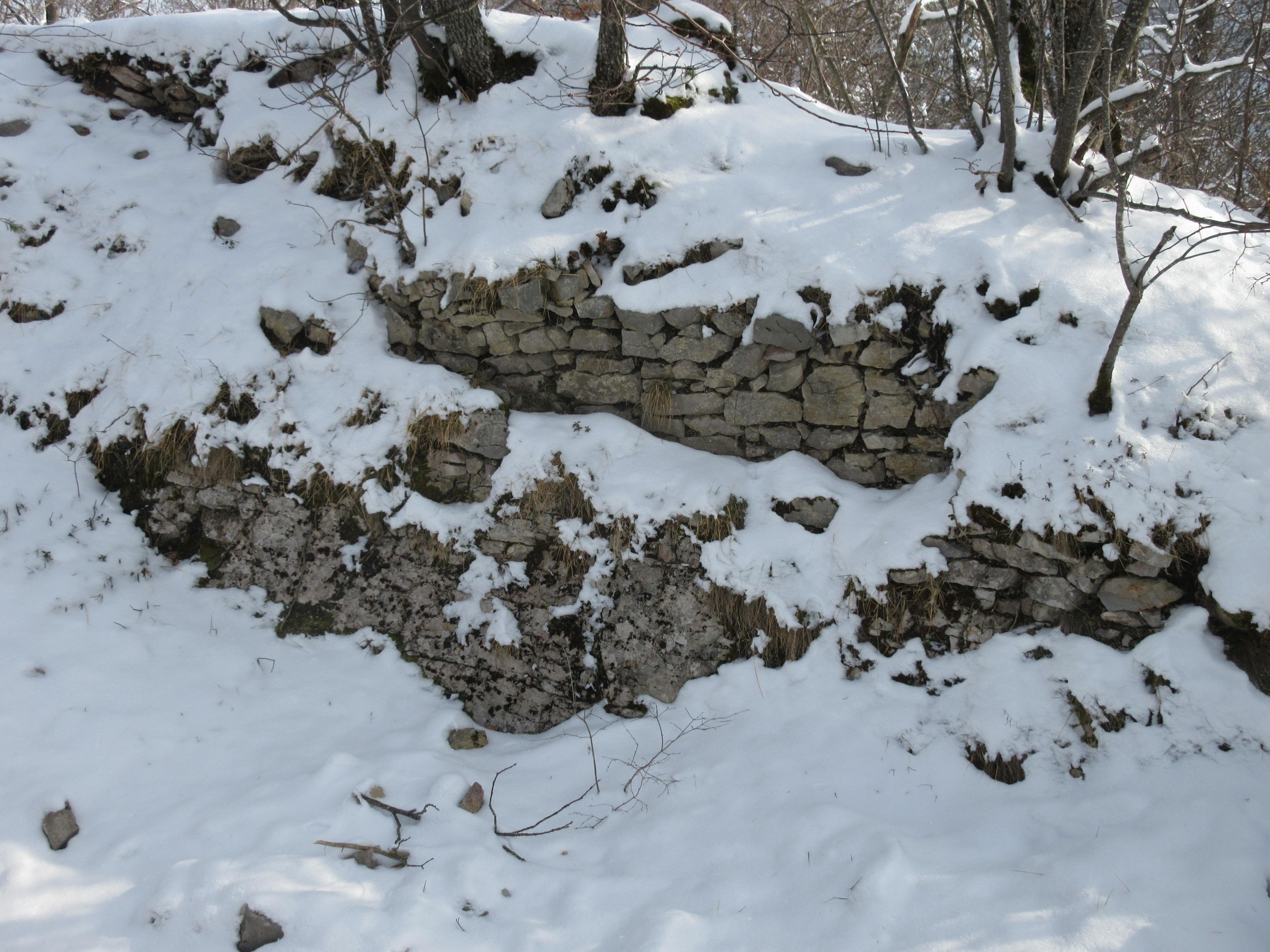 Burgruine Alt-Wildeptingen