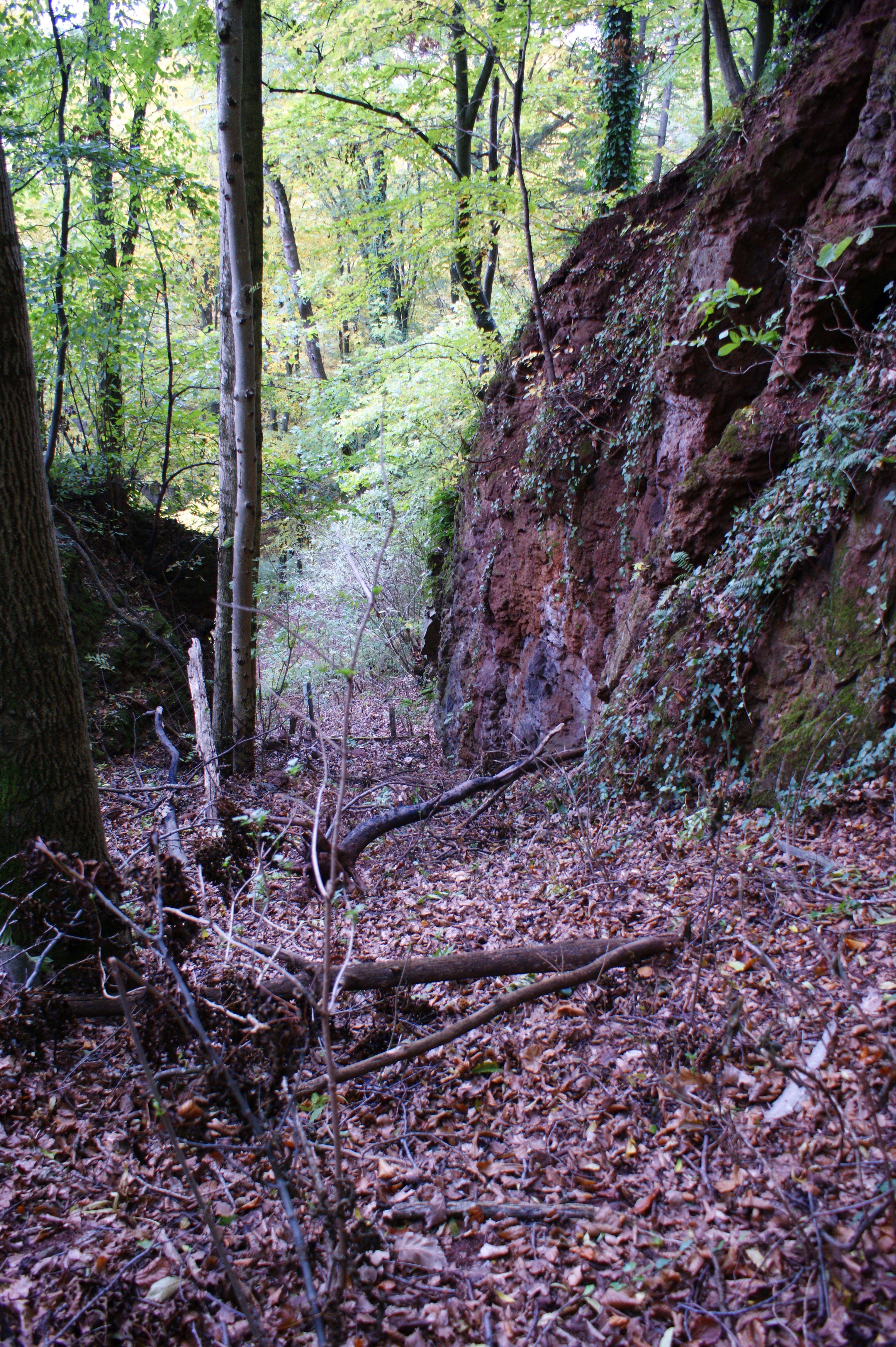 Basaltspalte von Tieschen