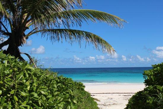 Pink Sand Beach