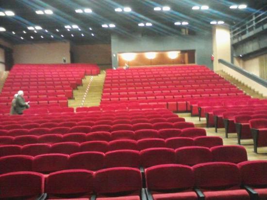 Theater Giuditta Pasta