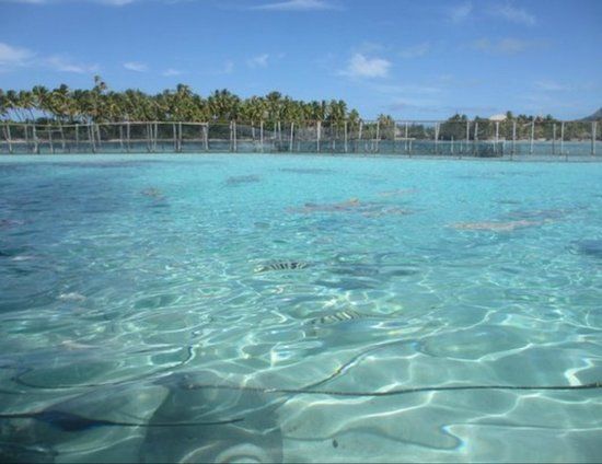 Bora Bora Lagunarium