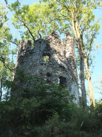 Burg Fluhenstein