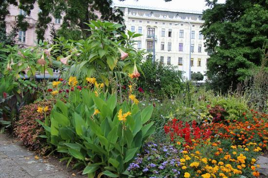 Brno Botanical Garden