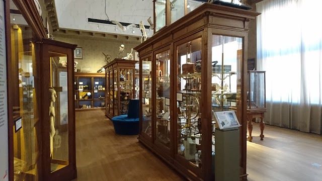 Universitätsmuseum Groningen