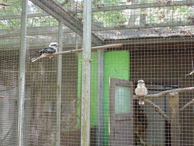 Vogelpark