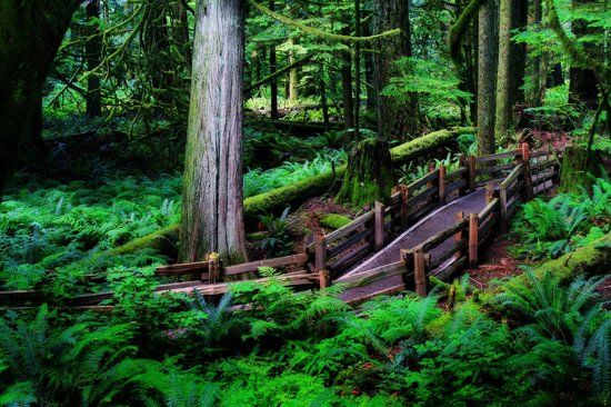 MacMillan Provincial Park