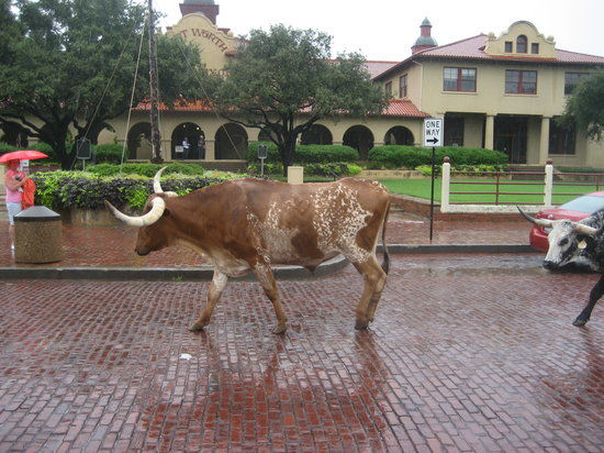 Cattlemen's Fort Worth Steak House