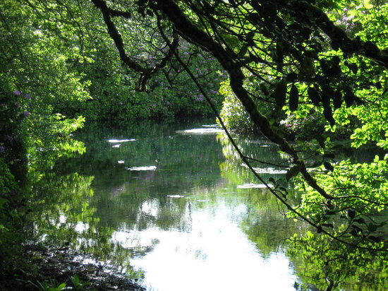 Cloghereen Blue Pool Walk
