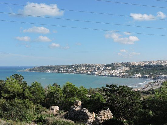 Foresta 2000 Riserva