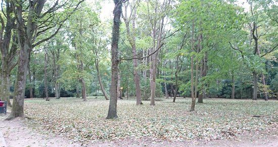 Park im. Jednosci Narodowej