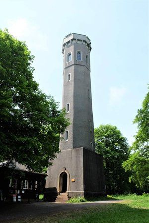 Ludwigsturm auf dem Donnersberg