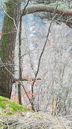 Stillensteinklamm Wanderweg
