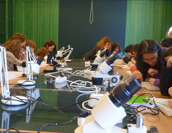 Museu de Ciències Naturals de Granollers