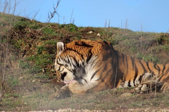 Tier-Erlebnispark Bell