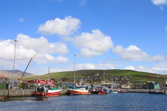 Dingle Marina