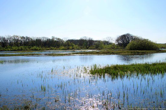 Natuurgebied Zwanenwater
