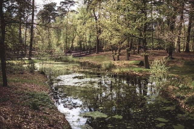 Wildgehege Klövensteen