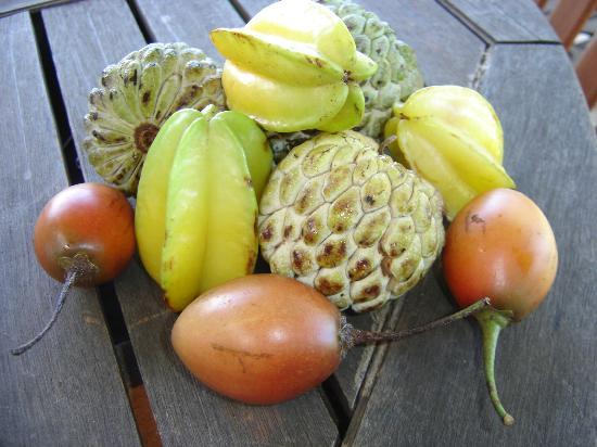 STEFF Maitre Glacier