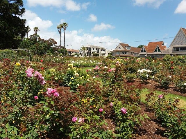 Parnells On The Rose Garden