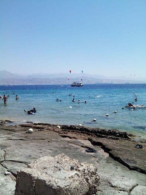 Aqua Sport International