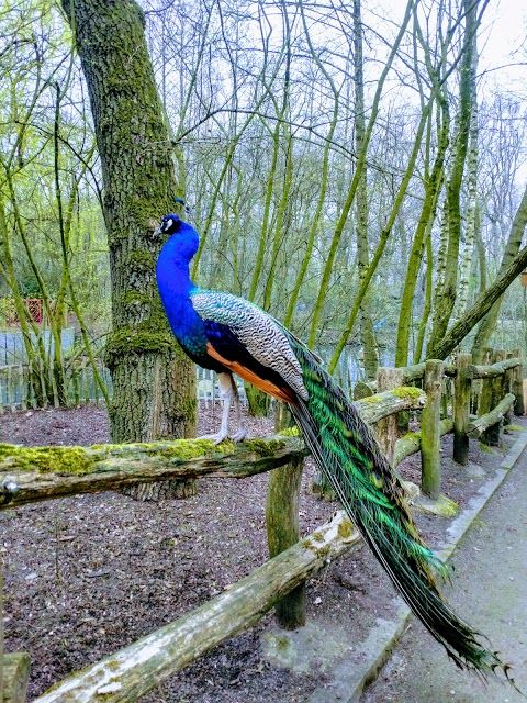 Kaisergarten Park und Zoo