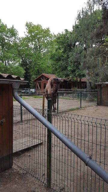 Oderbruchzoo