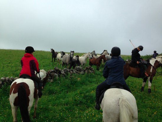 Dartfield Irelands Horse and Heritage Centre