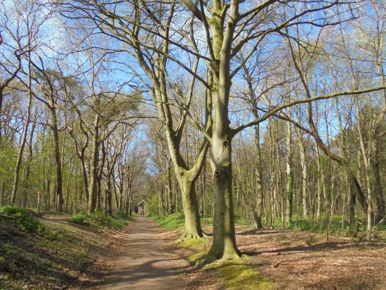 Duinreservaat Castricum