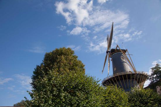 Molen de Windhond