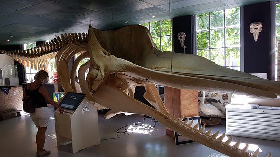 Centrum De Noordwester