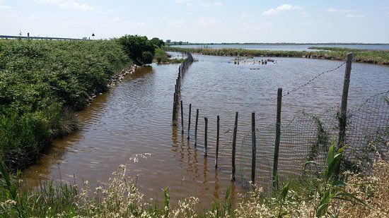 Oratorio dei Santi Filippo e Giacomo