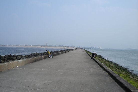 Leuchtturm Hoek van Holland