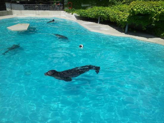 Tiergarten Mönchengladbach