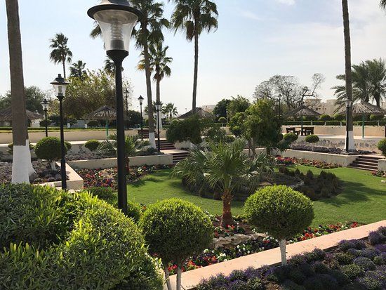 Al Wakrah Public Garden